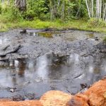 Oil in Gabon: the worrying return of the culture of secrecy and impunity