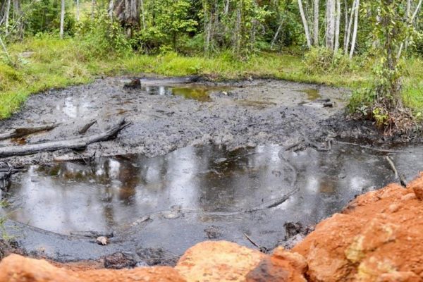 Oil in Gabon: the worrying return of the culture of secrecy and impunity
