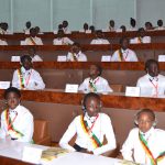 Youth Week: understanding the difference between young deputies and junior deputies in Cameroon