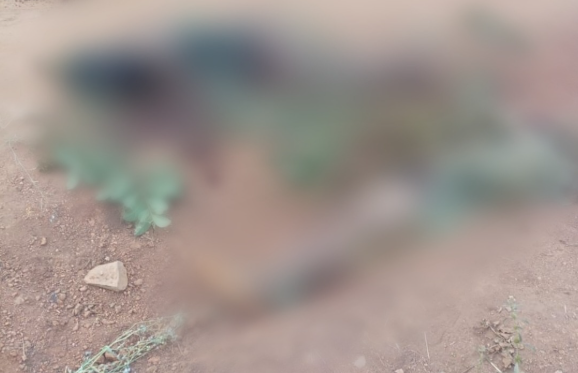 Cameroun: two bodies discovered in Bamenda