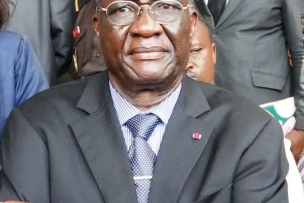 Cameroun-RDPC: Gilbert Tsimi Evouna calls Minister Bindoung Kpwatt to order