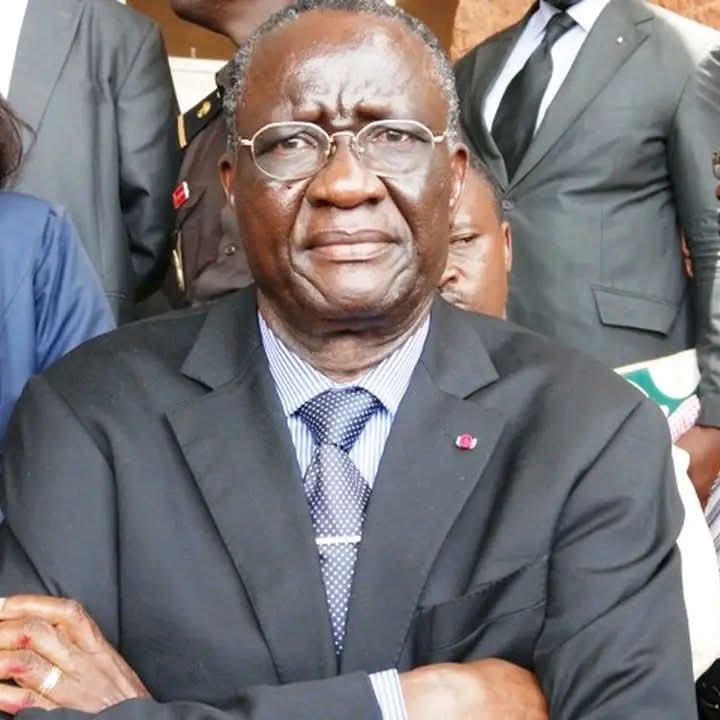 Cameroun-RDPC: Gilbert Tsimi Evouna calls Minister Bindoung Kpwatt to order