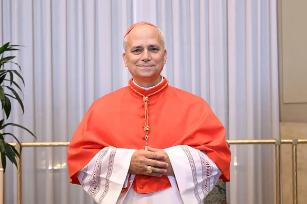Cameroon: access to the masses celebrated by Pope Leo XIV will be free