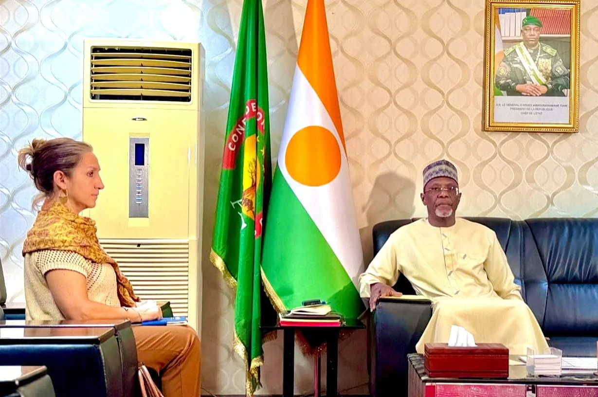 Niger: summoning of the EU chargé d&rsquo;affaires after a resolution on Bazoum