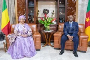 Cameroon: Mali's new ambassador received at Minrex