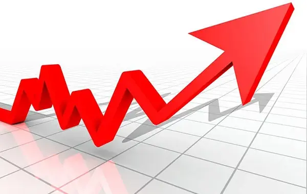 Cameroon: import expenditures up by 4.6% in 2025