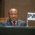 Cameroon: after the Constitution, two other law amendments in progress