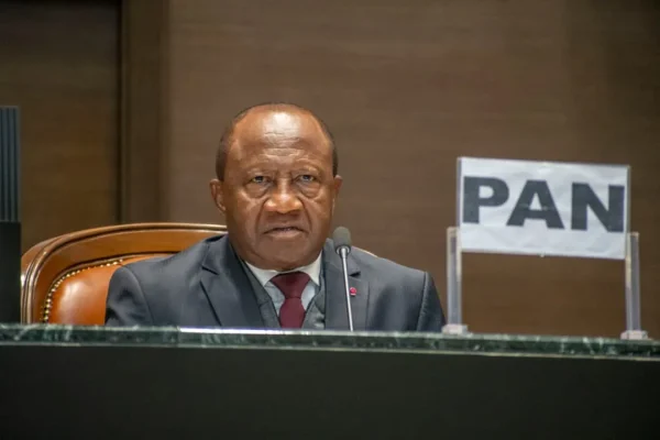 Cameroon: after the Constitution, two other law amendments in progress
