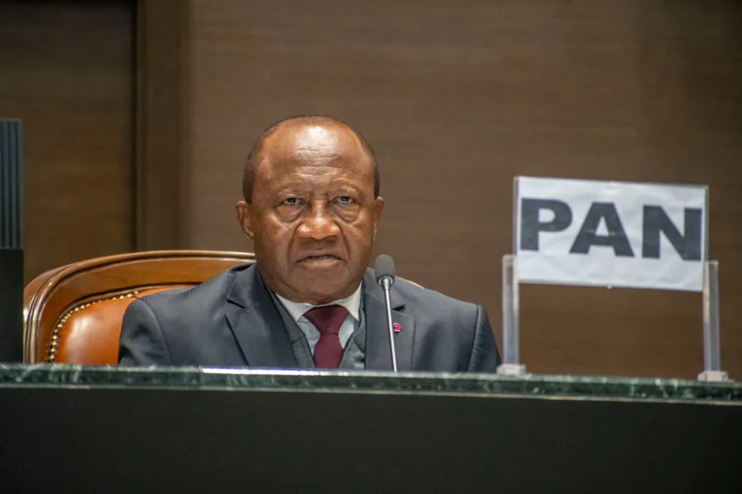 Cameroon: after the Constitution, two other law amendments in progress