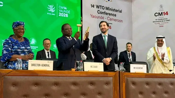 Cameroon–United States: towards more concrete investments