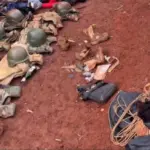 Crise anglophone : au moins 14 personnes tuées à Jakiri