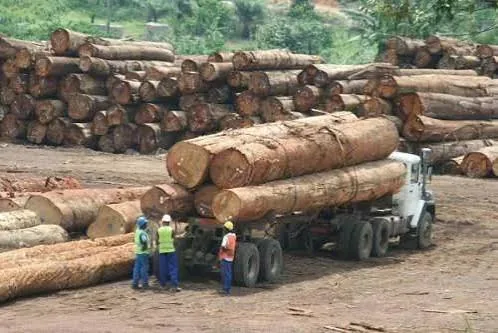 Cameroon: 98% of exports concentrated in the Gulf, LPG jumps to 18.9 billion FCFA in 2024