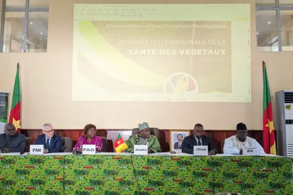 Cameroon: key stakeholders agree on the urgency of plant health
