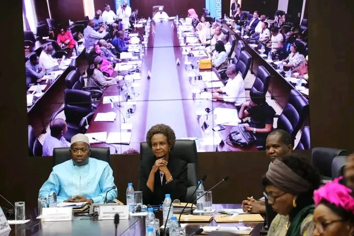 Children's Rights: the UN calls on the Cameroonian Parliament