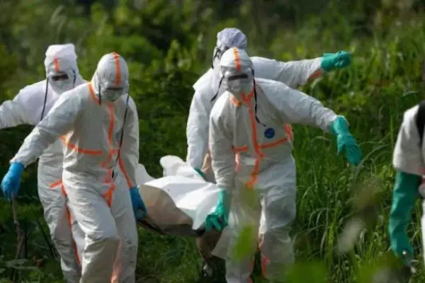 Ebola en RDC : plus de 900 cas suspects recensés (chef de l&rsquo;OMS)