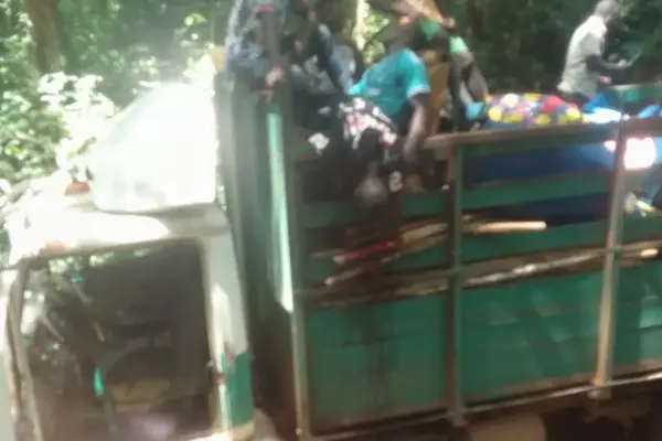 Cameroun : deux élèves décèdent à la suite de la chute d’un arbre sur un camion à Nieté