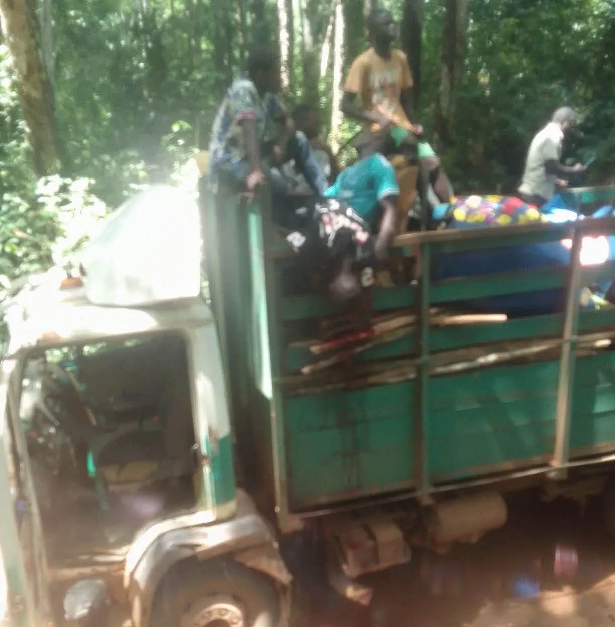 Cameroun : deux élèves décèdent à la suite de la chute d’un arbre sur un camion à Nieté