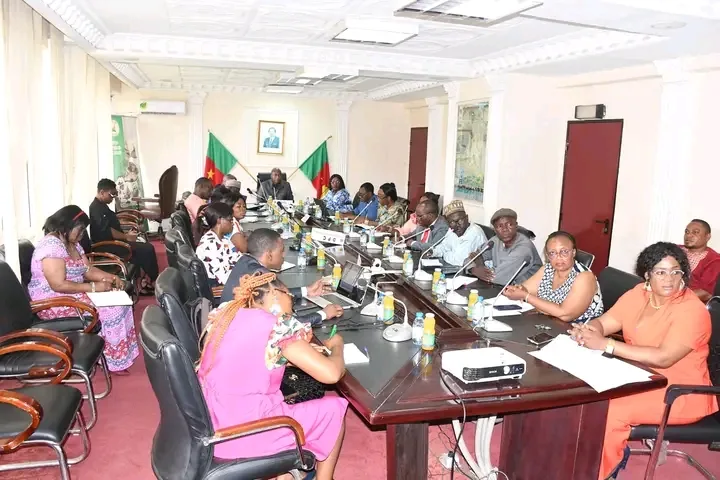 Tourism: MINTOUL focuses on digital to sell the Cameroon Destination