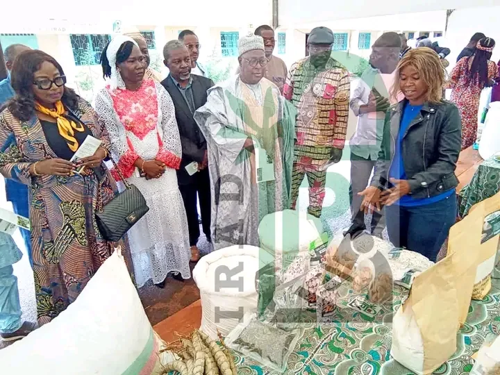 PRASAC-Manioc phase 2 : Yaoundé relance la dynamique de la recherche agricole régionale
