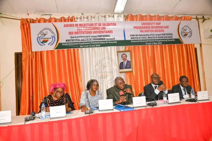 Higher Education: Towards a Harmonization of Professional Programs in State Universities