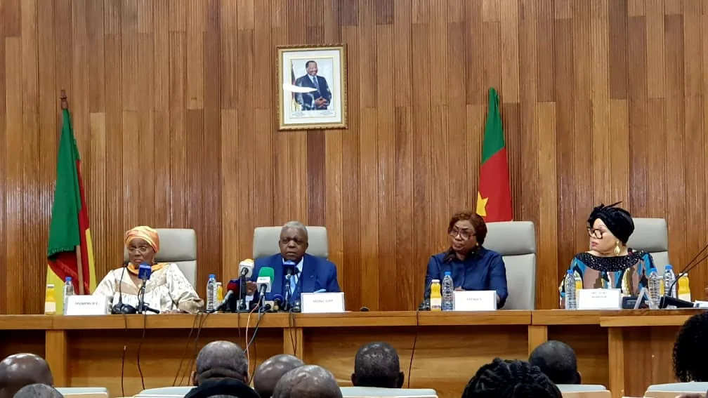 Cameroon: the government calls for everyone's mobilization against femicides and child rapes