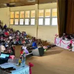 Electricity in Cameroon: an innovative approach to sustainably electrify rural areas