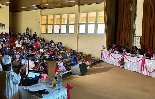 Electricity in Cameroon: an innovative approach to sustainably electrify rural areas