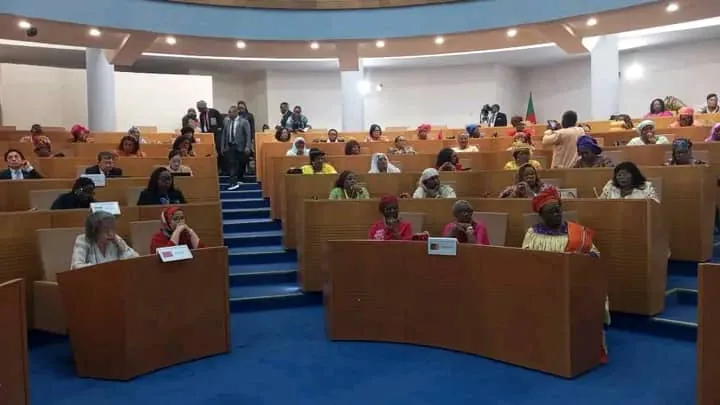 Feminist parliamentary diplomacy: Francophone elected officials strengthen their commitment in Yaoundé