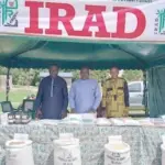 Semences certifiées : le Cameroun mise sur 70 000 tonnes dans le septentrion d&rsquo;ici 2026